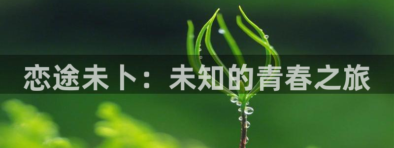 火爆香蕉漫画未删减：恋途未卜：未知的青春之旅