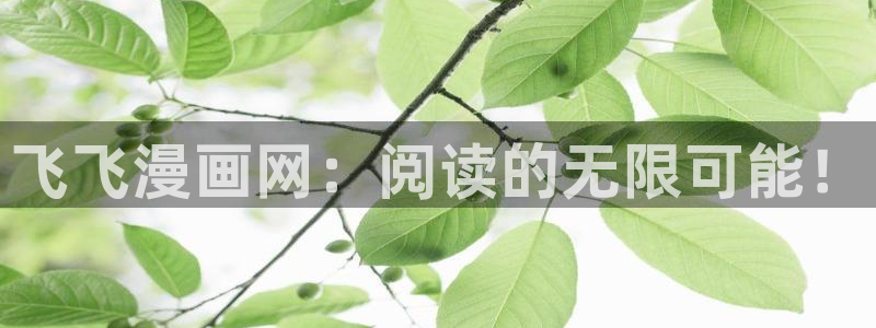 香蕉漫画下拉式：飞飞漫画网：阅读的无限可能！